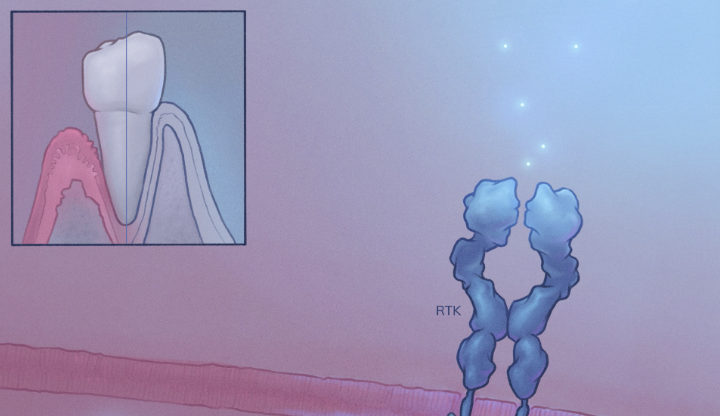 Molecule’s first IP-NFT for drug discovery R&D in the United States